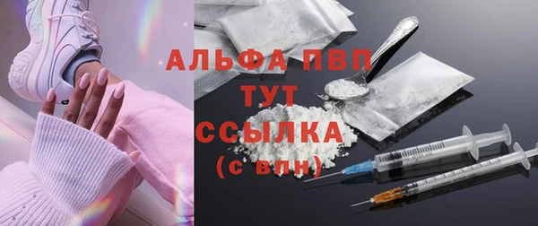стафф Алексин