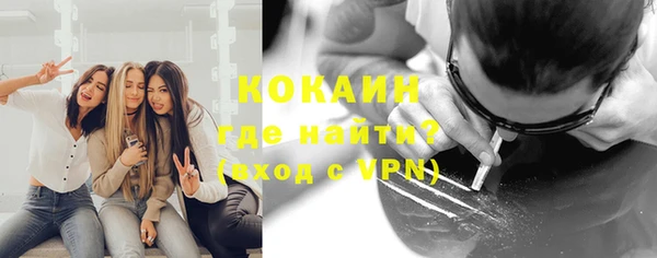 прущие грибы Аркадак
