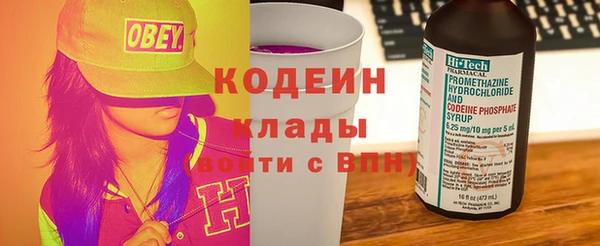 прущие грибы Аркадак