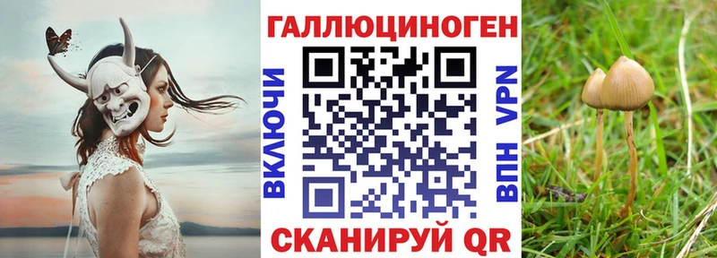 Псилоцибиновые грибы ЛСД  Новомосковск 