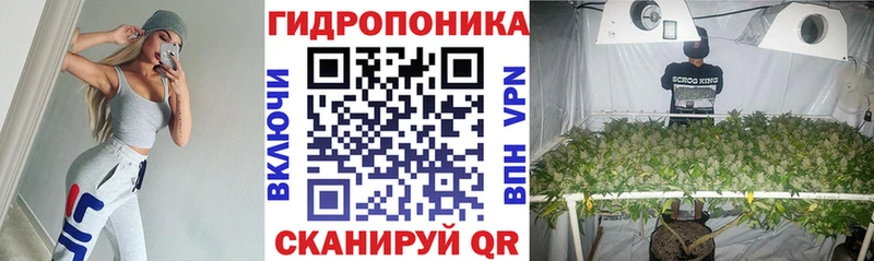 где продают   Новомосковск  Бошки марихуана Amnesia 